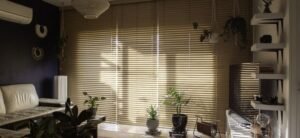 motorized blinds