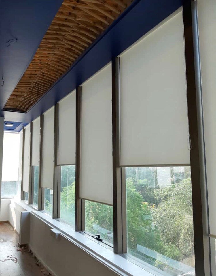zebra blinds sale